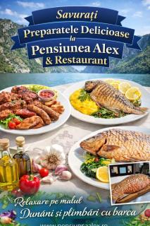 Pensiunea Alex & Restaurant - 8