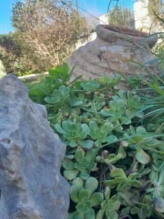 Μεδ-οίκων Γιατριάνων House - 2