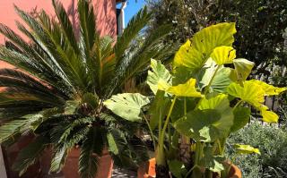 Marili Apartments - 2