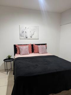 Apê no Centro de Viçosa pertinho da UFV - 1