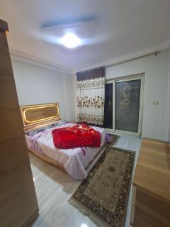 طريق الجيش ميامي - 2