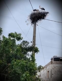 Villa Dreams View - 1