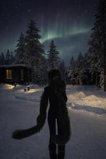 NOA VILLAS Aurora Lapland Resort - 7