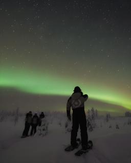 NOA VILLAS Aurora Lapland Resort - 4