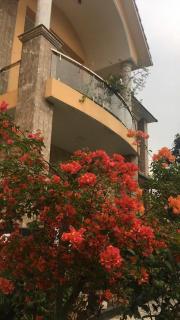 Kim An Sadec Garden House - 0