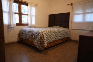 Árbol Paraíso y Terraza Mezquite - 8