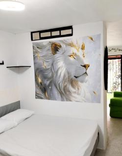 Mini casa confort - 5