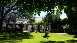 Little Green World - Beaufort West - 4