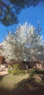 La Casa delle Ciliegie - 6