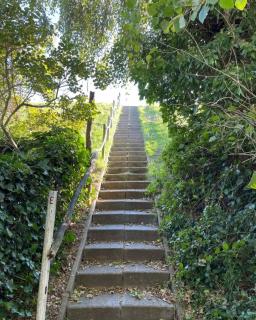 Maison de Lucie à Tholen - 7