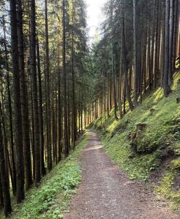 Chalet Scoiattolo Residence Sussy - 4