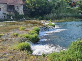 River Elephant - Duga Resa - 8