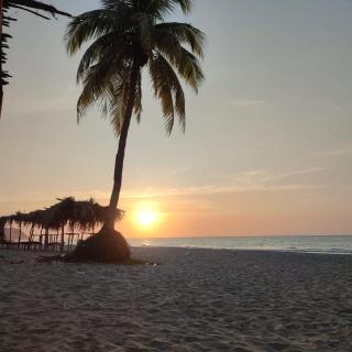 Cabañas Ecológicas in Tela - 1