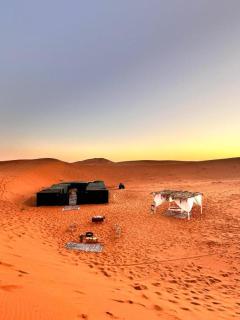 Andromeda Sahara Camp - 7