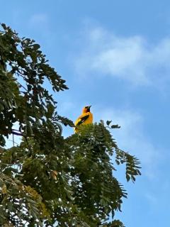 Vivienda Turística Cafecito - 5