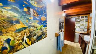 Sky Caribbean Garden - Bird Nest - 2