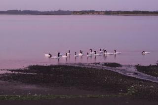 Cabaña en Caulin 1 - 8