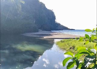 MiMa-The Caribbean Love & Adventure Van - 1