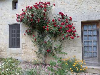 La Roseraie - 9