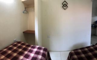 Suite girasol - 5