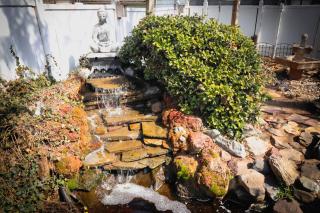 Backyard Oasis Swim Spa, Fire Pit & Relaxing Outdoor Retreat - 2