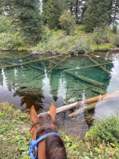 Karagaitookarkyra - 5