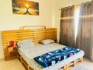 Royal Stay farmhouse Gurgaon - 3