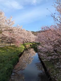 Oshino Hakkai 1min Private Villa Mt Fuji View Fukujuen 福寿苑 - 6