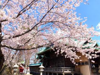 Rプラス小樽 AMS kaihourou 107 - 7