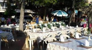Sea Falcon on the Water - 5
