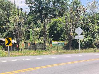 Eco hotel palo verde - 5