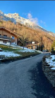 Alpine Lake Brienz Chalet Apartment - 6