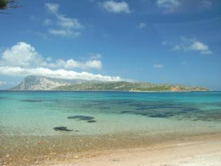 Villaggio Est Affittacamere - San Teodoro - 4