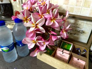 Casa Travia - Rose Hill Central A, Wi-Fi & Comfort - 8