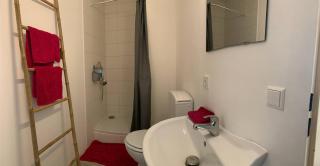 Studio Cozy just steps from Luxembourg train station - 4