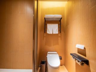 JI Hotel Chengdu Jinan Tianjie - 6