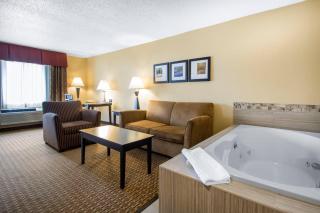 Comfort Suites Wisconsin Dells Area - 5