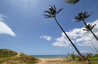 Kihei Garden Estates #C-208 Fully Renovated Loft-Style unit, Shared Hot Tub - 6