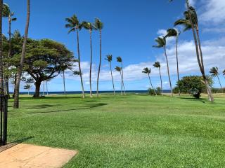 Leinaala Oceanfront #101 Ground unit, Ocean View, Steps to the beach, A/C - 0
