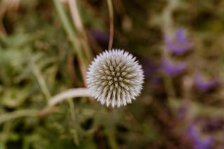 Vakantiepark Eigen Wijze - 4