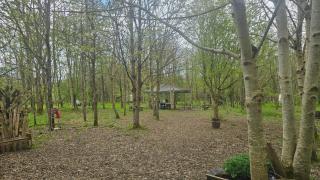 DGG Woodland Escape - 3