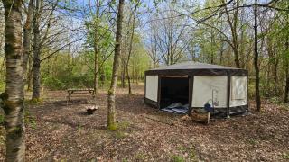 DGG Woodland Escape - 1