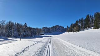 FeWo Berghem - 1