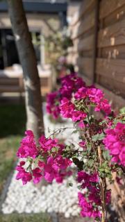 Spacious Family Home w Garden - Near Amsterdam - 7