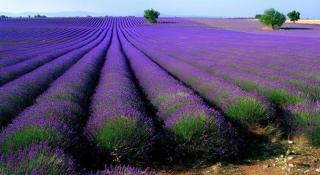 7 Days Inn Yining Xintiandi - 4