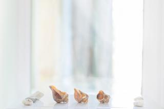 "Ваша Квартира" - у самого Дерибаса! "Ваша Квартира" біля самого Дерибаса! - 2