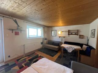 Appartement mit Terrasse - Haus Kärnten - 3