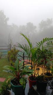 The Grand Kalimpong - 9