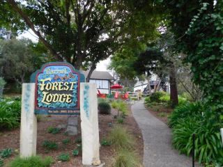 Forest Lodge - Carmel - 0