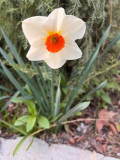 Pacific Guest House Skardu - 1